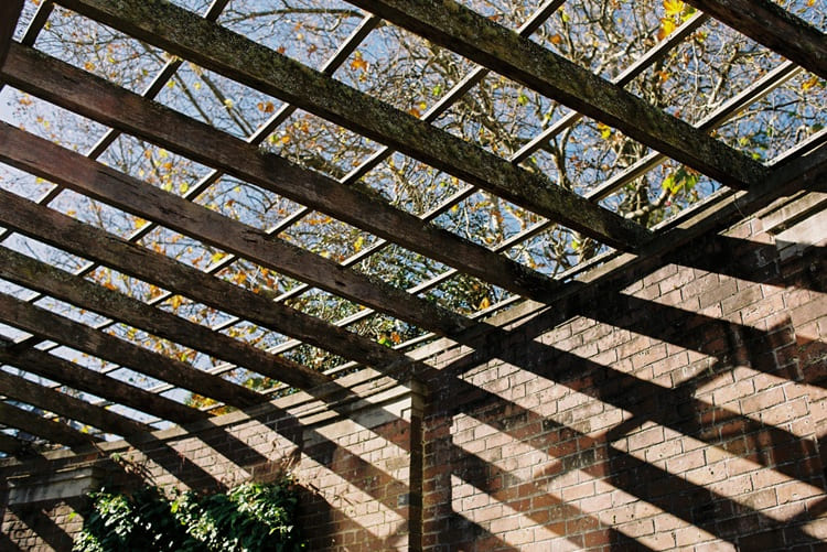 Gambaran pergola, Sumber: pexels.com