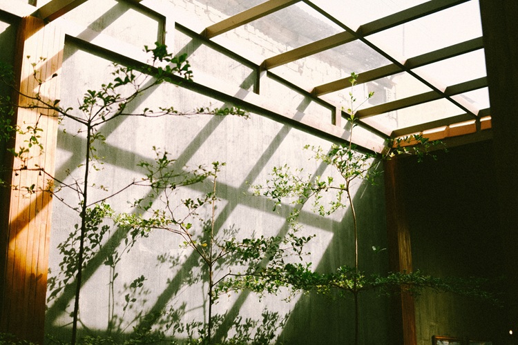 Perhatikan perbedaan kanopi dan pergola, Sumber: pexels.com